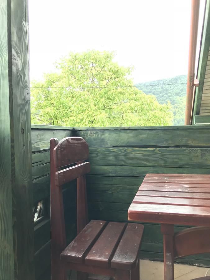 Cottage Shchaslyvyi Jaremče Exteriér fotografie